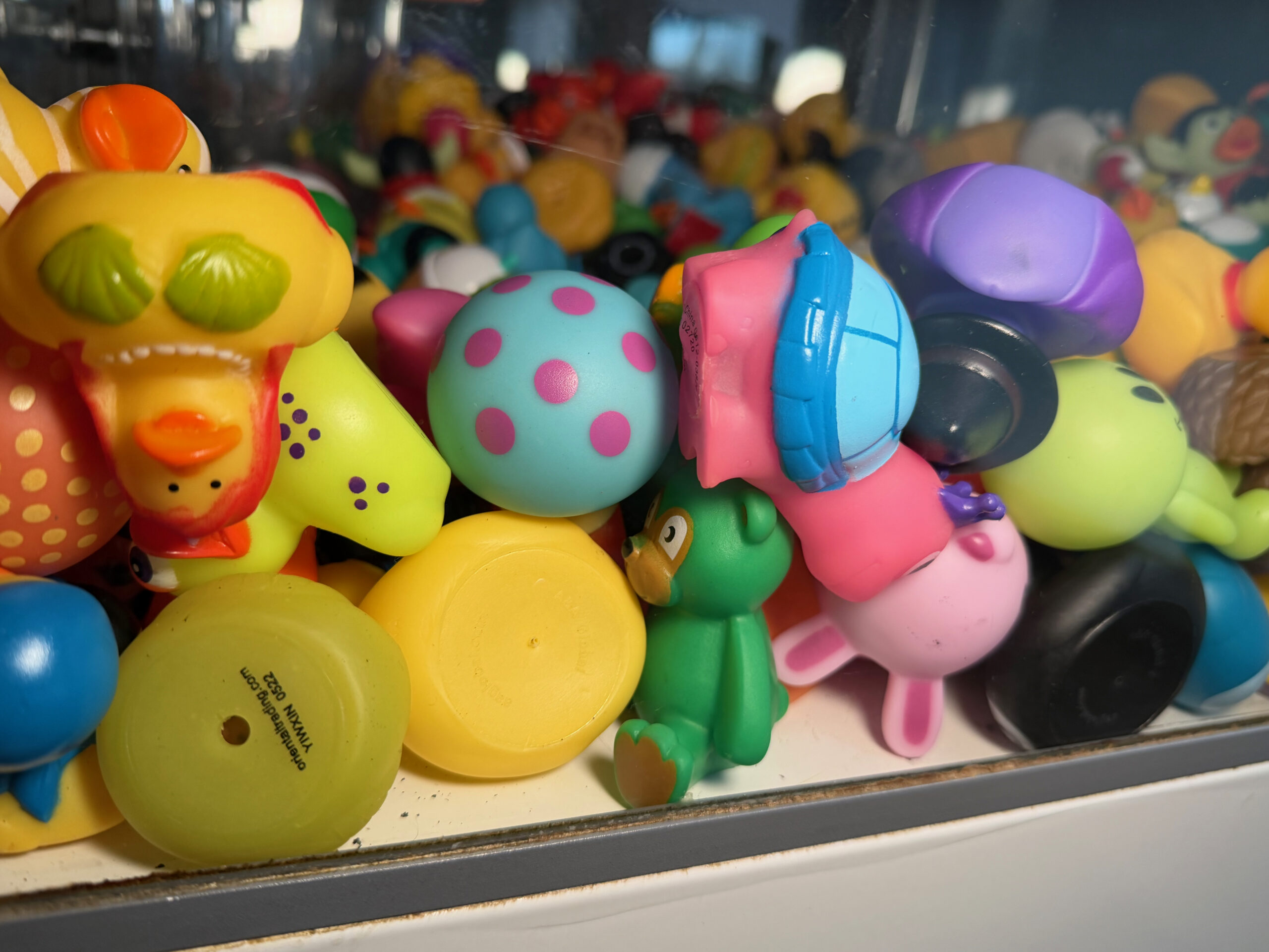 IMG_9396 Dominic Scott